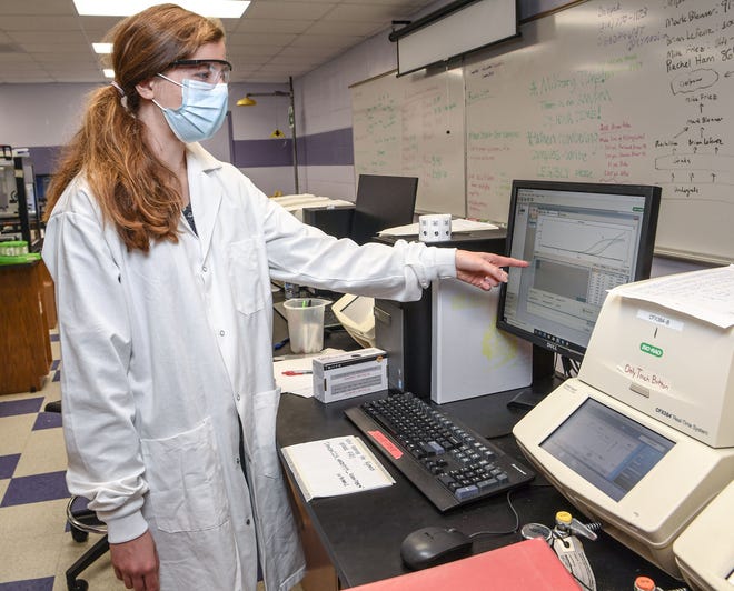 Rachel Ham, Clemson University lab supervisor, looks at results from saliva processed at the COVID-19 Clinical Diagnostics Lab at Clemson University.