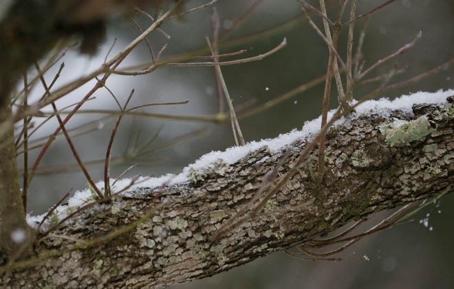 Snowfall greeted West Alabama residents Tuesday, Feb. 16, 2021. [Staff Photo/Gary Cosby Jr.]